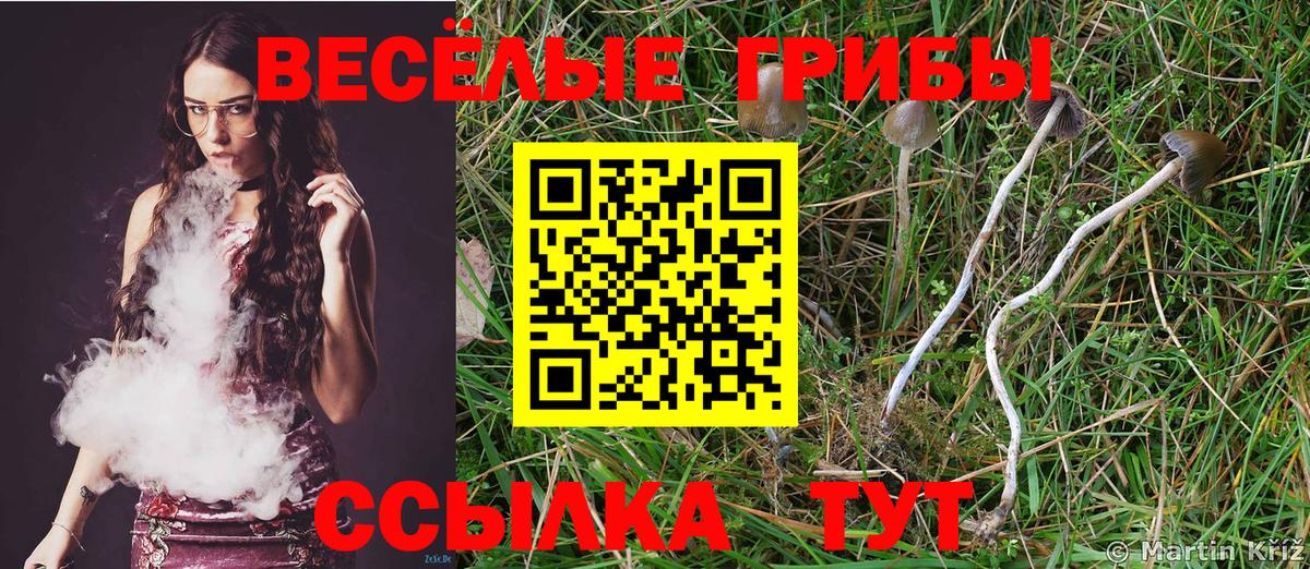 Галлюциногенные грибы Psilocybine cubensis  Вход с VPN  Коммунар 